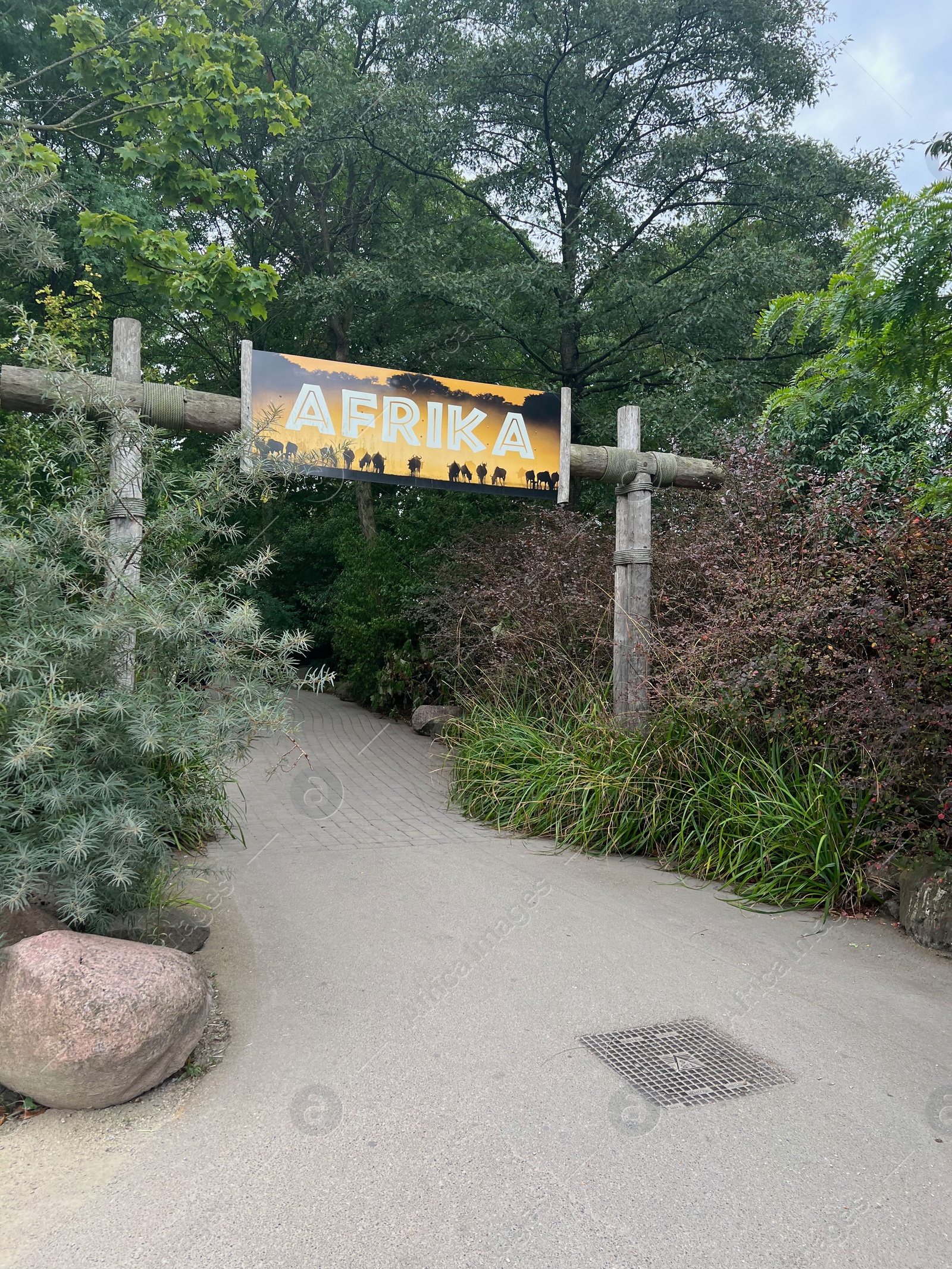 Photo of Rotterdam, Netherlands - August 27, 2022: Different plants, path and sign with word Africa written in Dutch