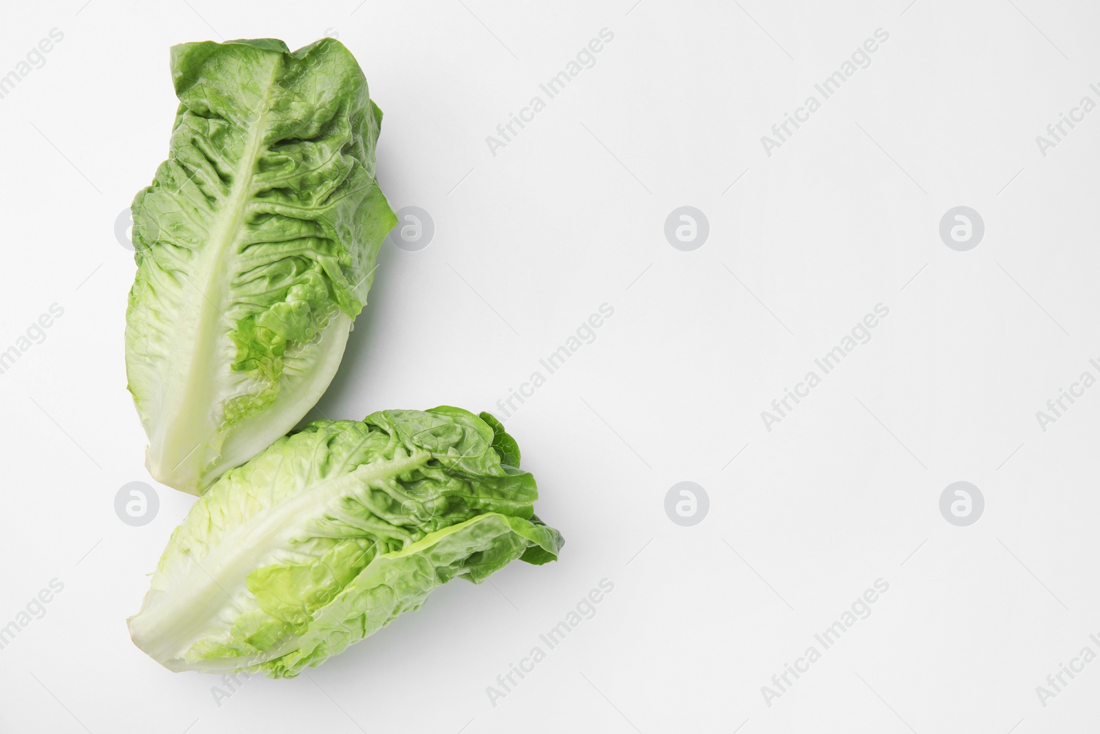 Photo of Fresh green romaine lettuces isolated on white, top view