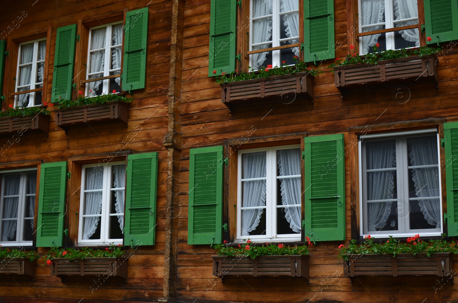 Photo of Exterior of building with beautiful flowers growing in holders under windows