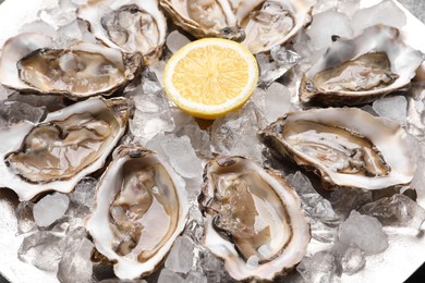 Photo of Delicious fresh raw oysters with lemon on ice, closeup