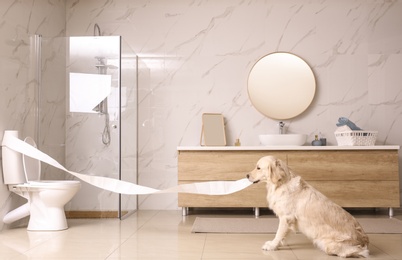 Cute Golden Labrador Retriever playing with toilet paper in bathroom