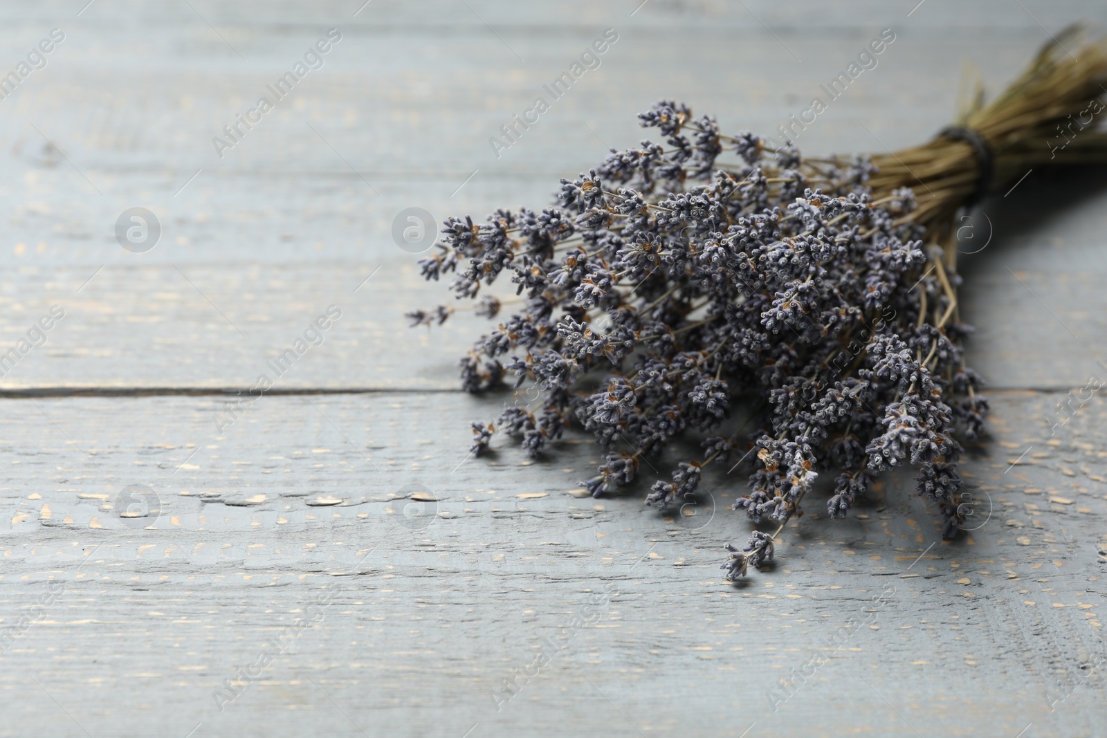 Photo of Dried lavender flowers on grey wooden table, closeup. Space for text