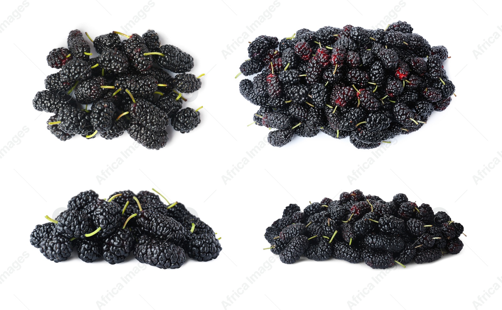 Image of Set with fresh ripe black mulberries on white background