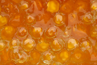 Photo of Closeup view of fresh honeycomb as background
