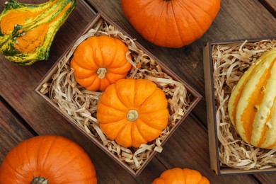 Photo of Crate and many different pumpkins on wooden table, flat lay