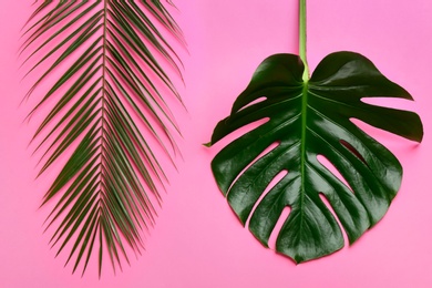 Photo of Beautiful monstera and palm leaves on pink background, flat lay. Tropical plants
