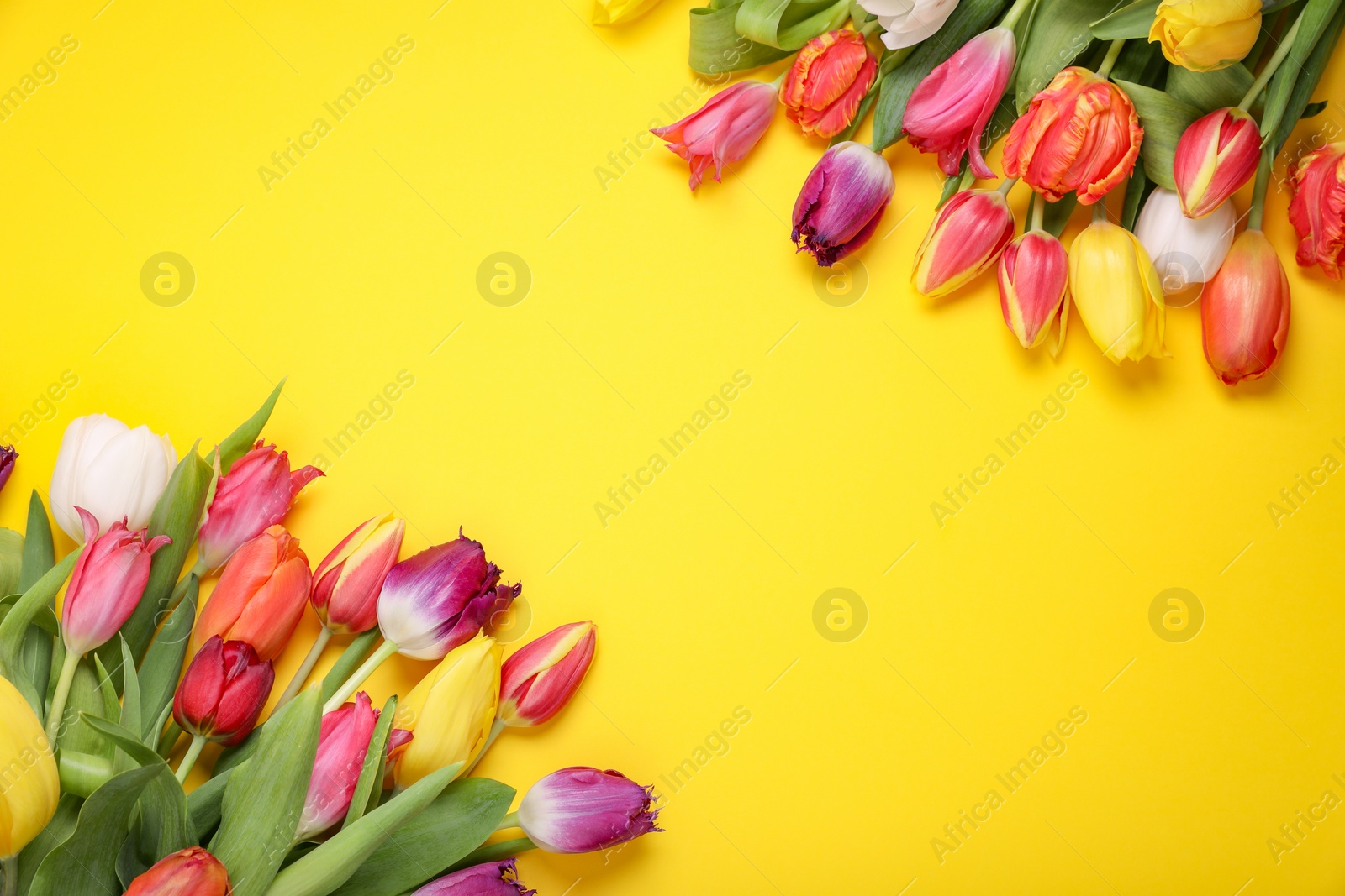 Photo of Beautiful colorful tulip flowers on yellow background, flat lay. Space for text