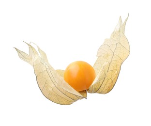 Ripe physalis fruit with calyx isolated on white