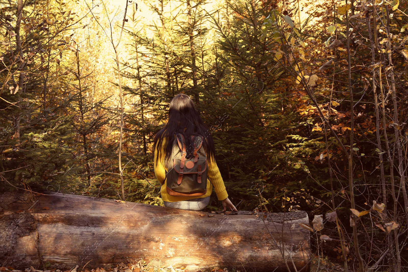 Photo of Woman with backpack sitting on log in autumn forest