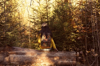 Photo of Woman with backpack sitting on log in autumn forest