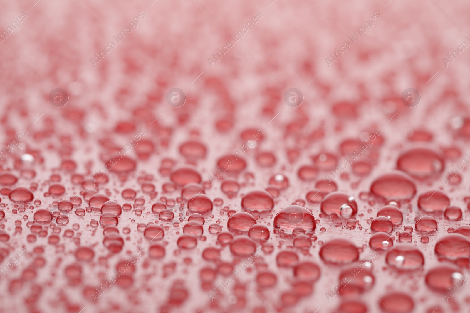 Photo of Water drops on red background, closeup view