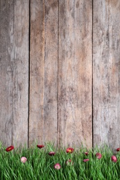 Vibrant green grass with beautiful flowers against wooden background, space for text