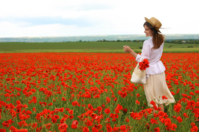 Photo of Woman with handbag and poppy flowers in beautiful field