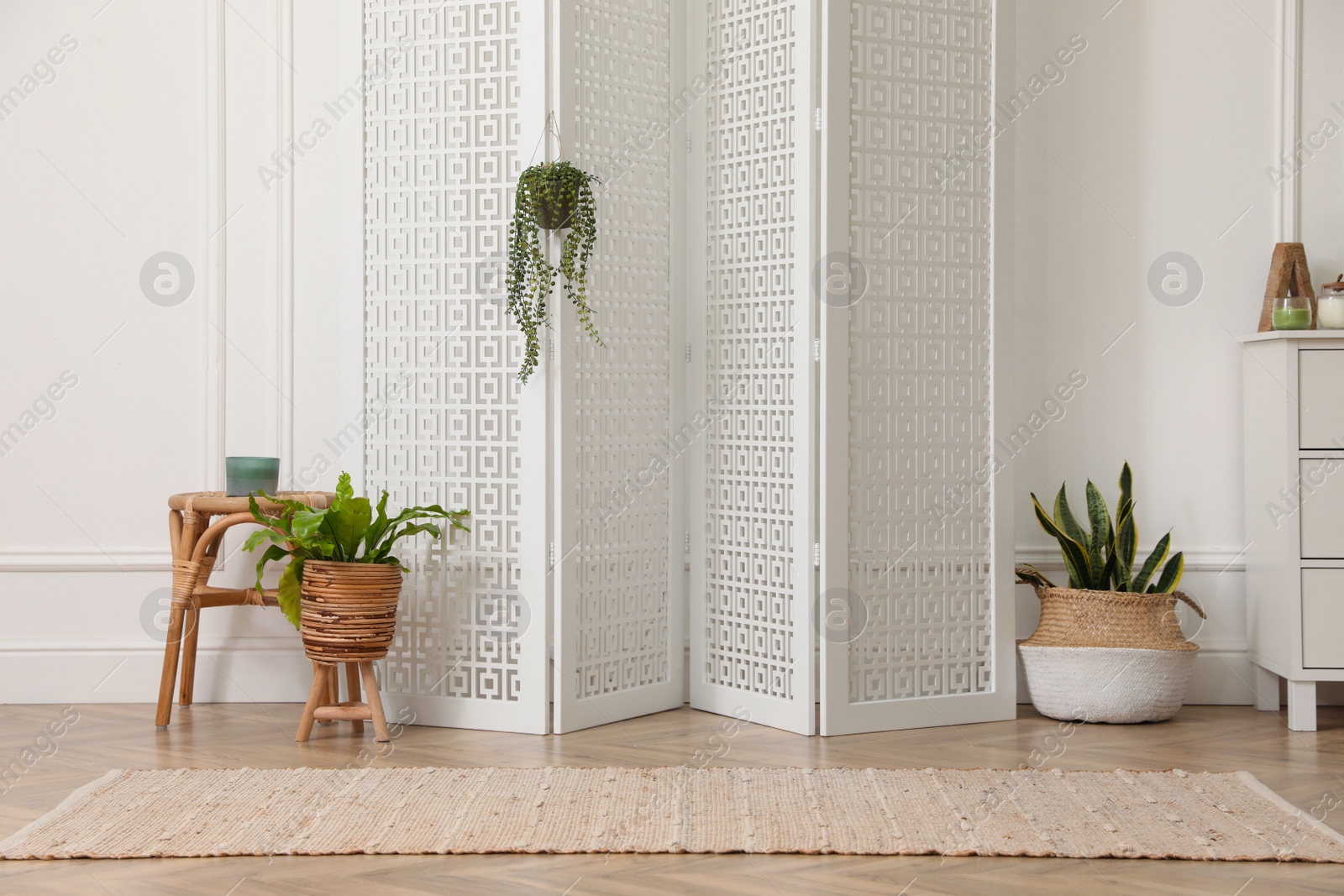 Photo of Folding screen and beautiful houseplants near white wall in room. Interior design