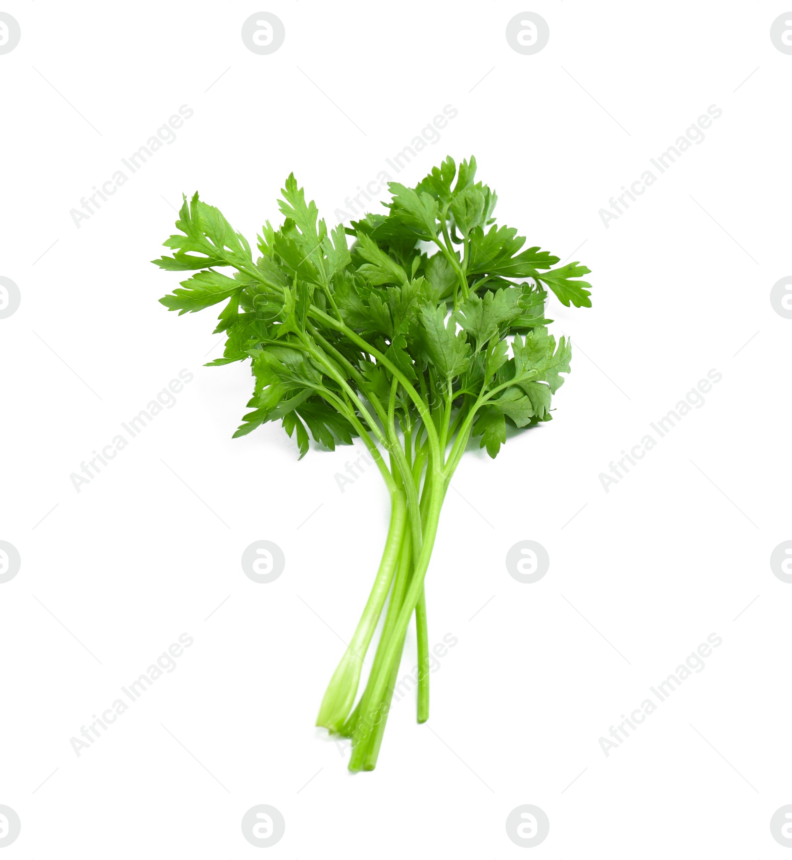 Photo of Bunch of fresh parsley isolated on white