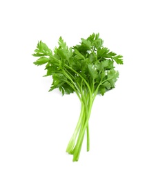 Bunch of fresh parsley isolated on white