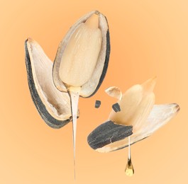 Image of Sunflower seeds with oil and husk on dark beige gradient background