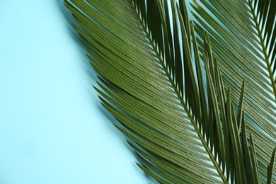 Photo of Beautiful tropical leaves on color background, top view
