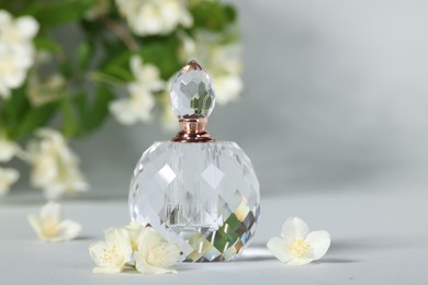 Aromatic perfume in bottle and beautiful jasmine flowers on grey background, closeup