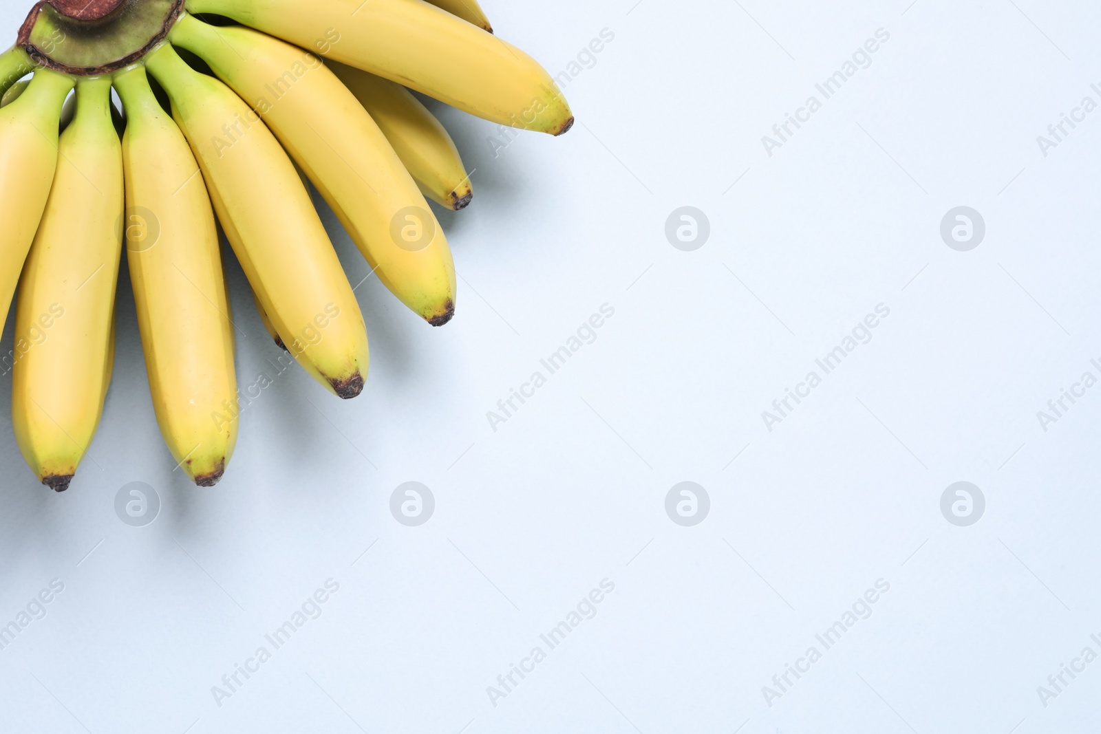 Photo of Bunch of ripe baby bananas on light blue background, top view. Space for text