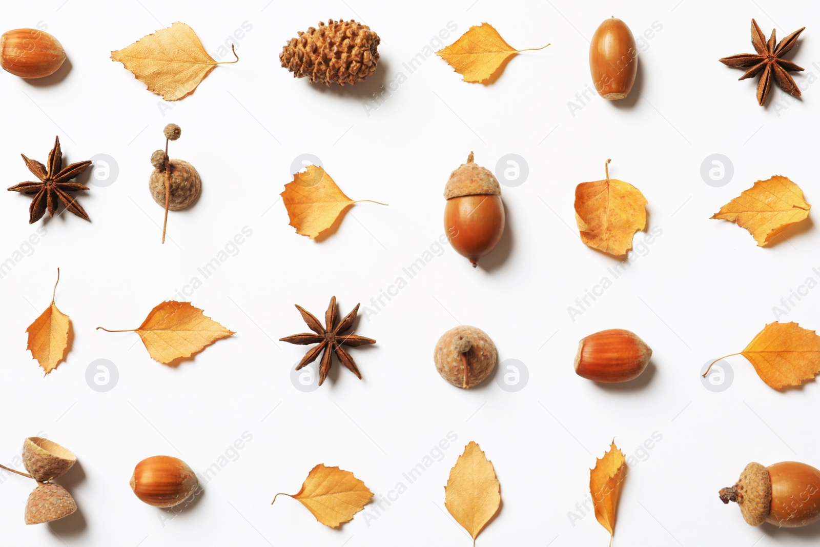 Photo of Flat lay composition with autumn leaves on white background