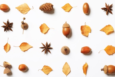 Flat lay composition with autumn leaves on white background