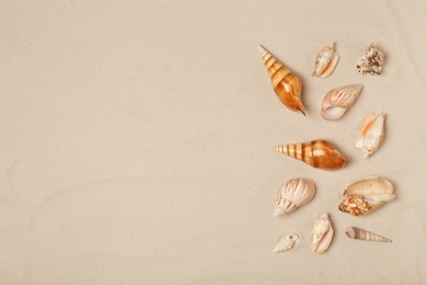 Photo of Seashells on beach sand, top view with space for text