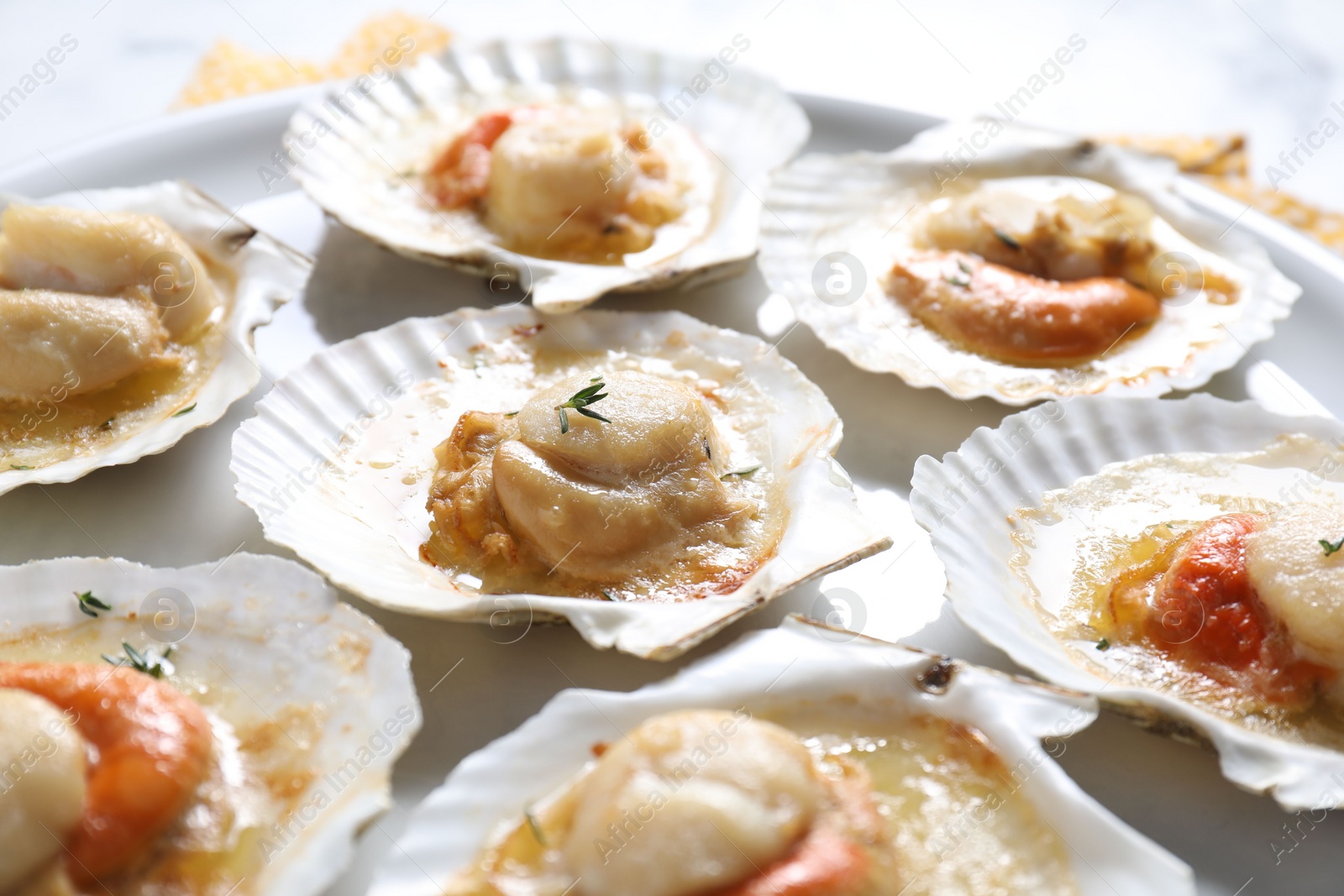 Photo of Fried scallops in shells on plate, closeup