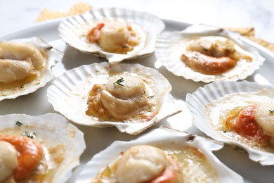 Fried scallops in shells on plate, closeup