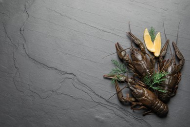 Photo of Fresh raw crayfishes with lemon and dill on black table, flat lay. Space for text