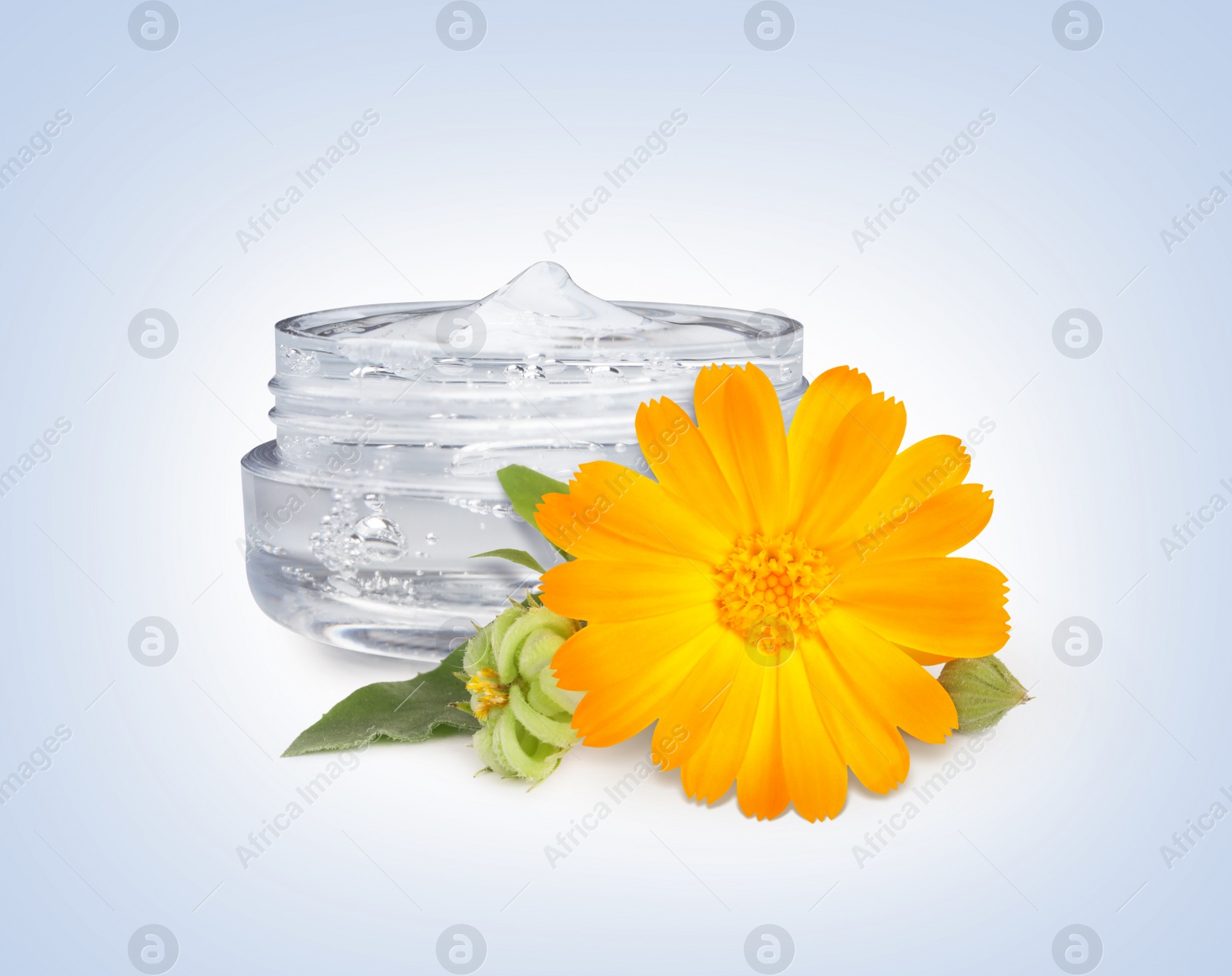 Image of Transparent gel with calendula extract on light background. Natural based cosmetic product