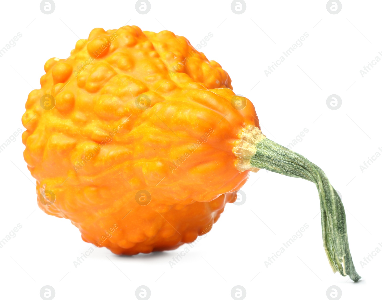 Photo of One fresh orange pumpkin isolated on white