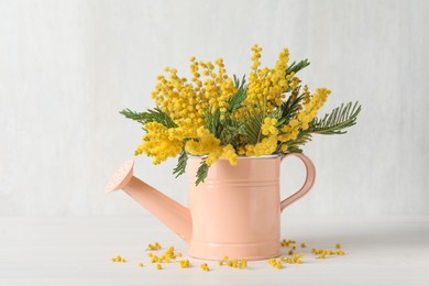 Beautiful mimosa flowers in watering can on white wooden table