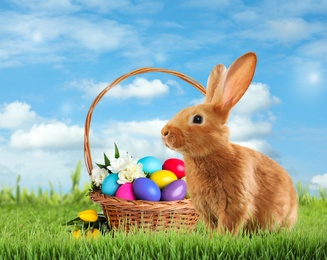 Image of Cute bunny and wicker basket with colorful Easter eggs on green grass outdoors