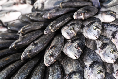 Photo of Fresh raw organic fish in supermarket, closeup