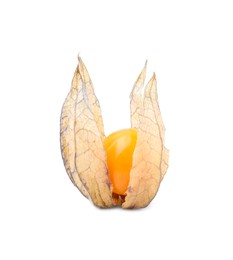 Photo of Ripe physalis fruit with calyx isolated on white