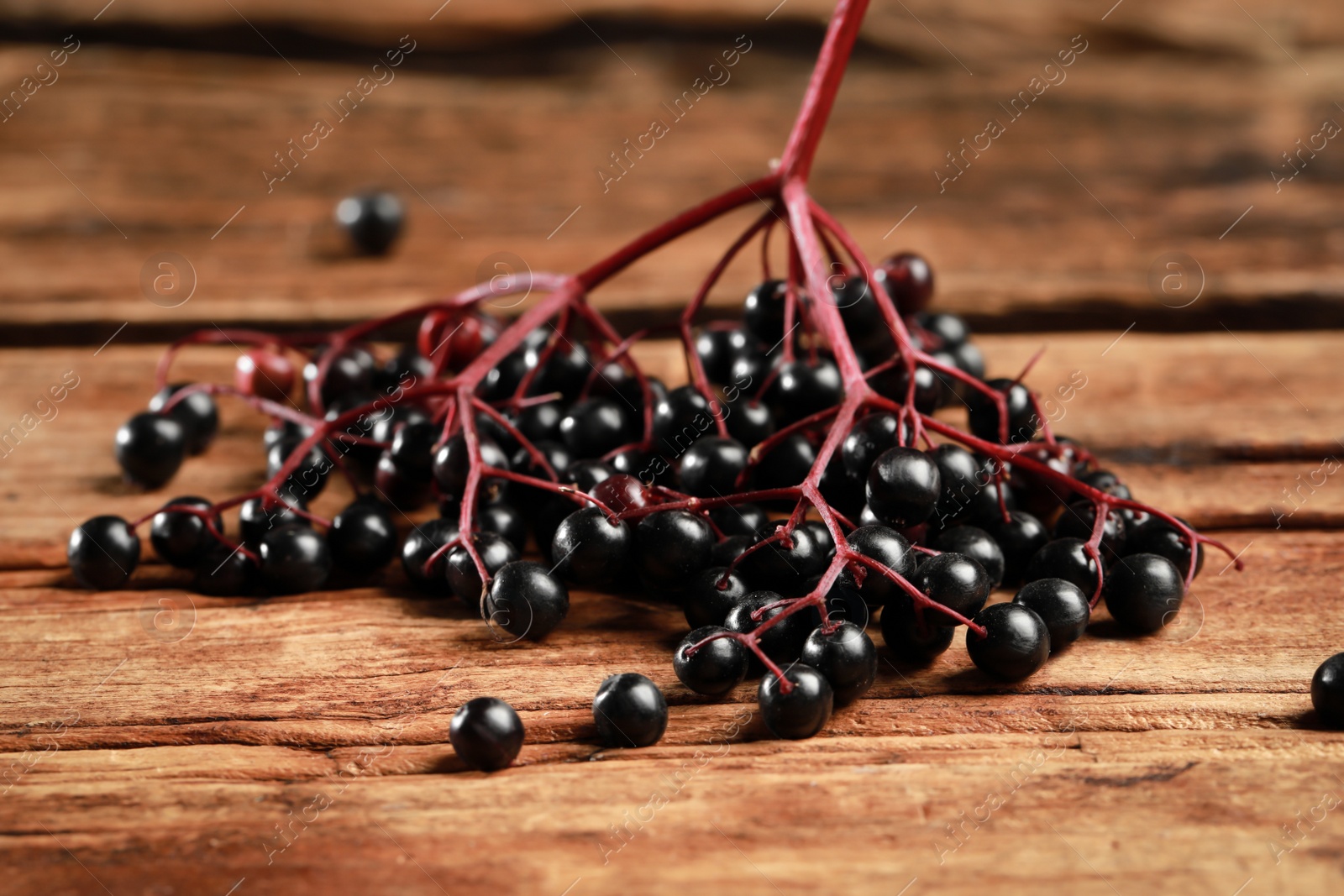 Photo of Black elderberries (Sambucus) on wooden table, closeup