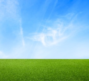 Image of Green grass under blue sky with clouds