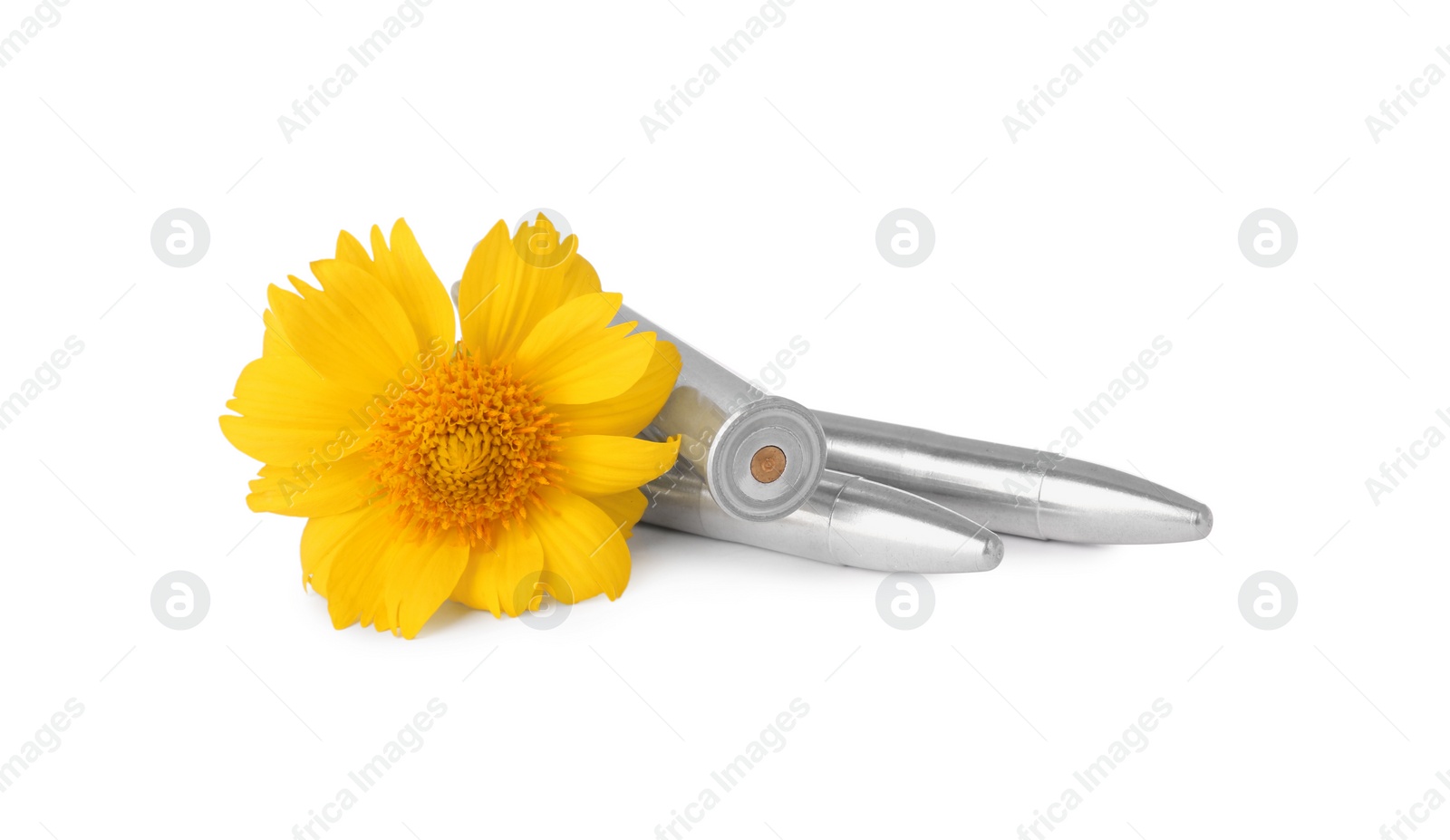 Photo of Bullets and beautiful flower isolated on white