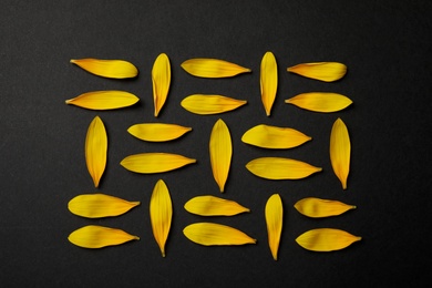 Photo of Fresh yellow sunflower petals on black background, flat lay