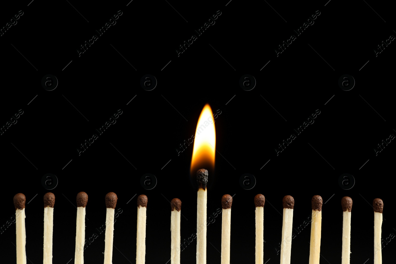 Photo of Burning match among unlit ones on black background, closeup