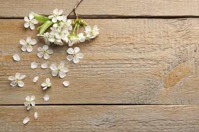 Spring branch with beautiful blossoms, petals and leaves on wooden table, flat lay. Space for text