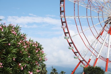 Beautiful large Ferris wheel outdoors on sunny day
