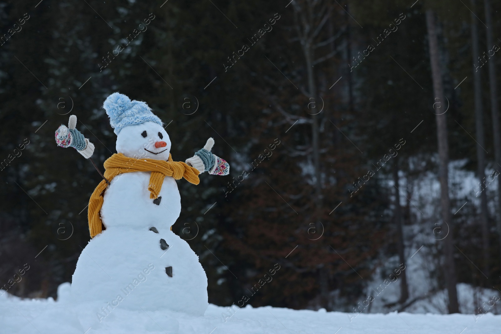 Photo of Adorable smiling snowman outdoors on winter day. Space for text