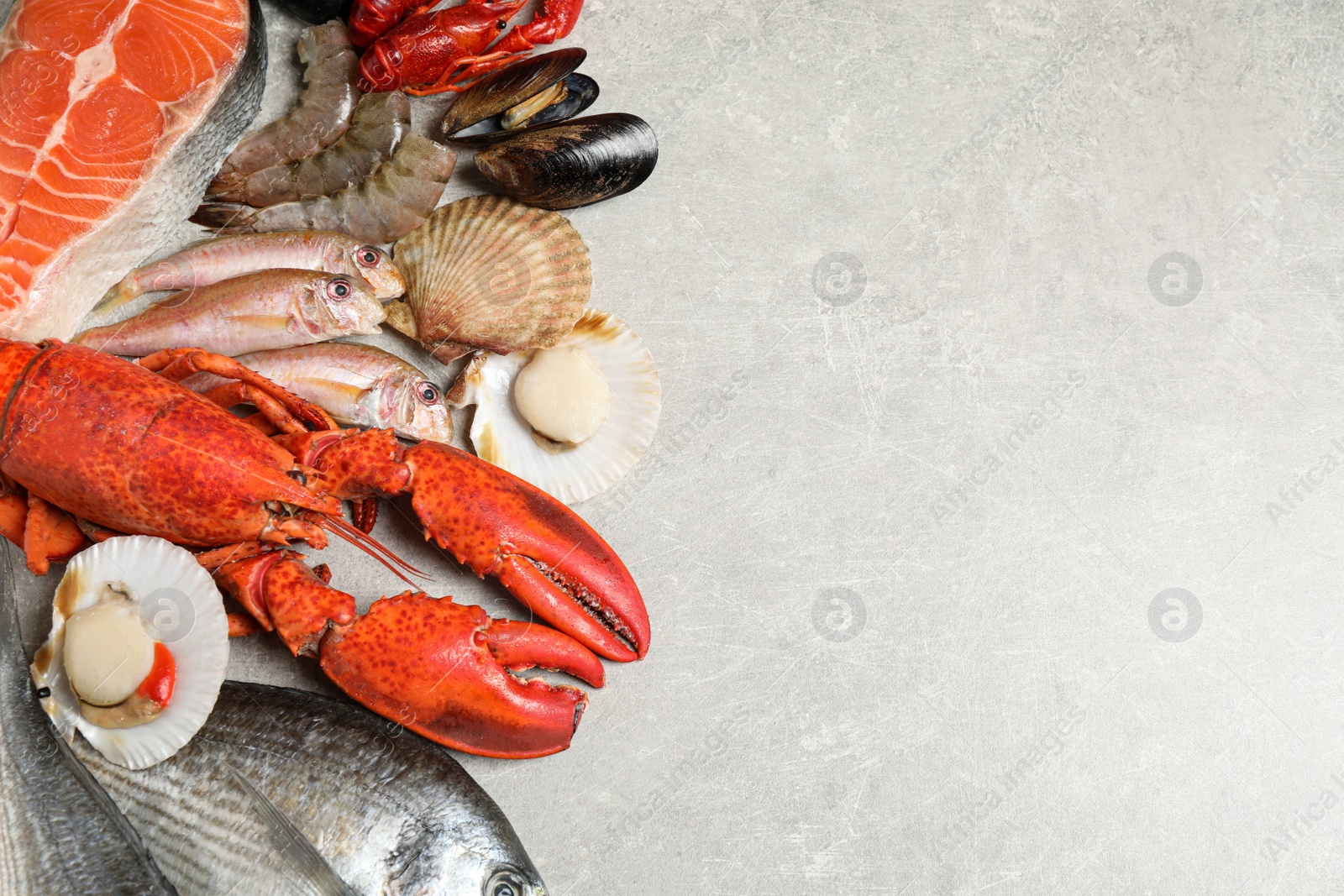 Photo of Fresh fish and seafood on marble table, flat lay. Space for text