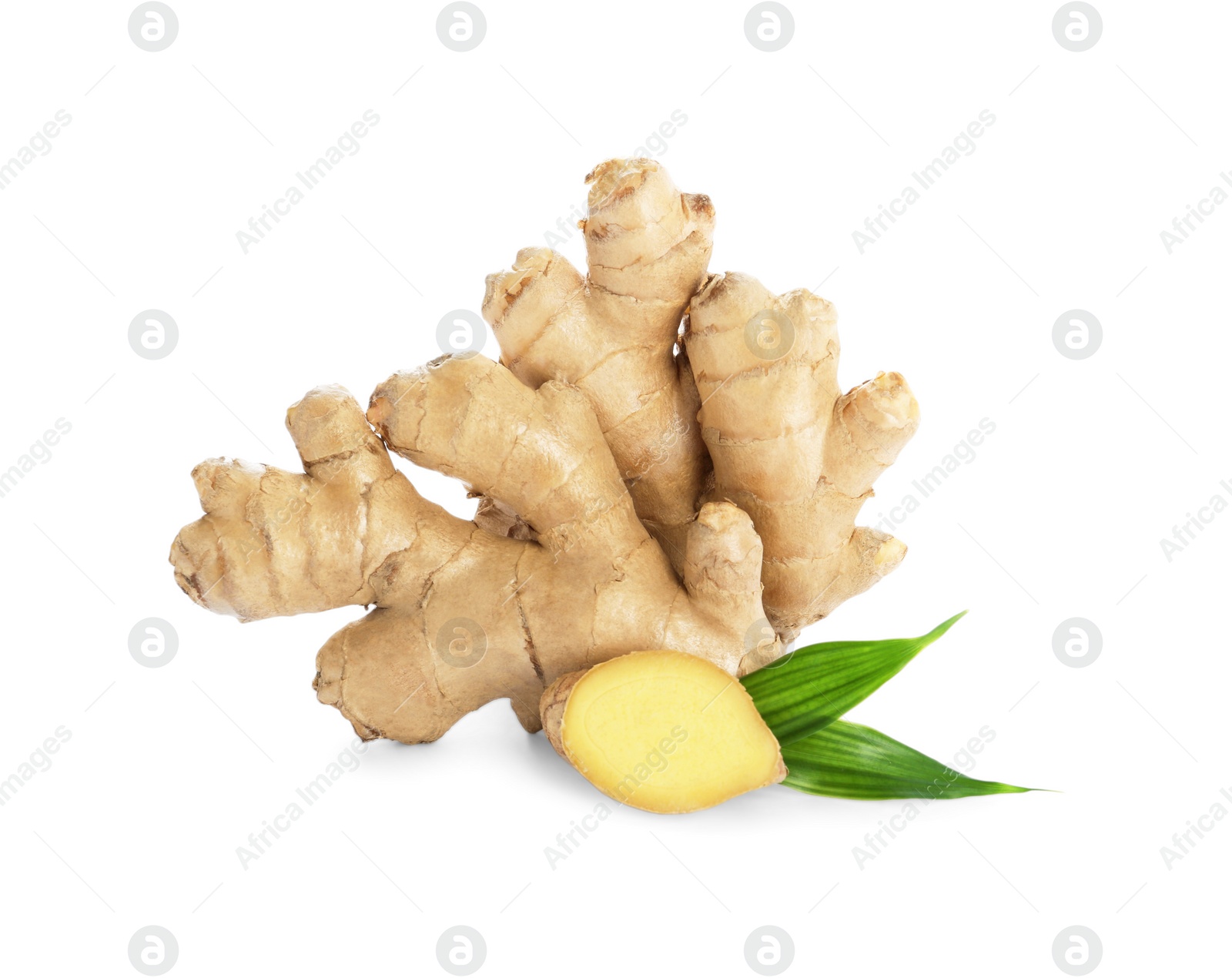 Photo of Whole and cut fresh ginger with leaves isolated on white