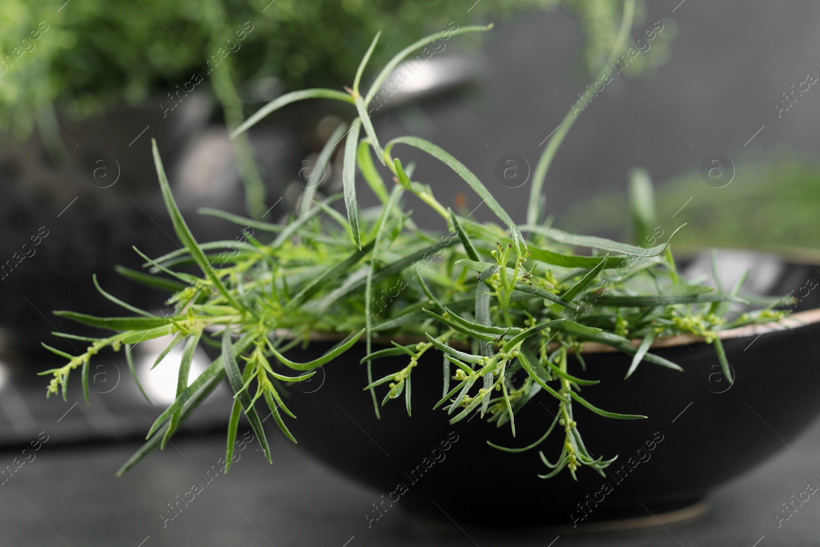 Photo of Fresh tarragon sprigs in bowl on table, closeup