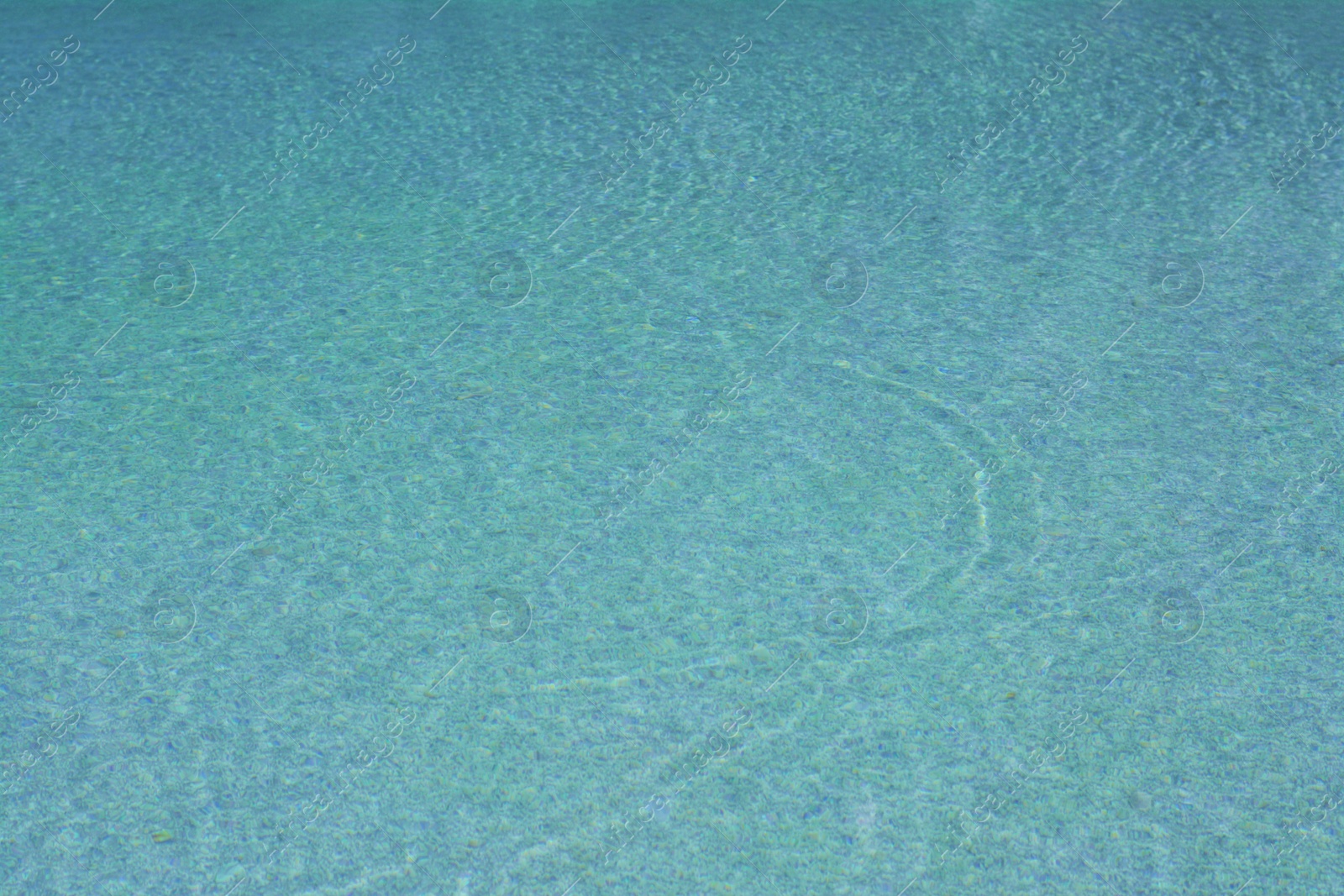 Photo of Calm clear water in swimming pool outdoors