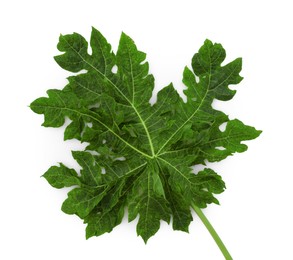 One papaya leaf isolated on white, top view