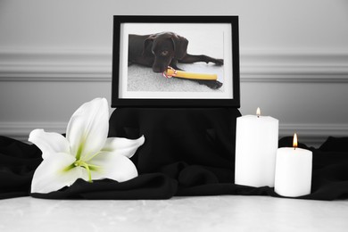 Photo of Frame with picture of dog, burning candles and lily flower on light grey table. Pet funeral